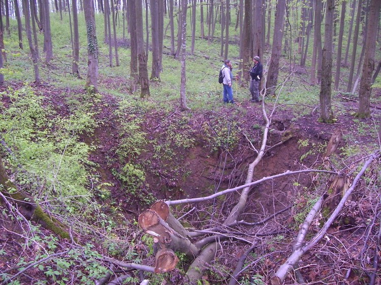 Avenul Măgura - Image 1